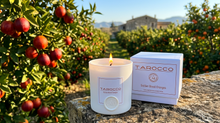Tarocco Scented Candles - 9 oz - Load image into Gallery viewer, Tarocco Scented Candles - 9 oz