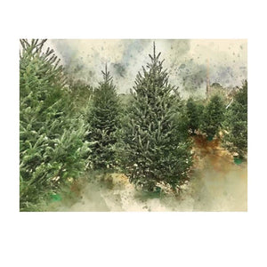 Winter Holiday - White Pine Spruce & Cedarwood 18 oz Soy Candle - Scents of Sicily Collection - Winter Holiday - White Pine Spruce & Cedarwood 18 oz Soy Candle - Scents of Sicily Collection